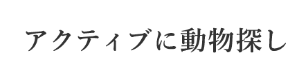 アクティブに動物探し