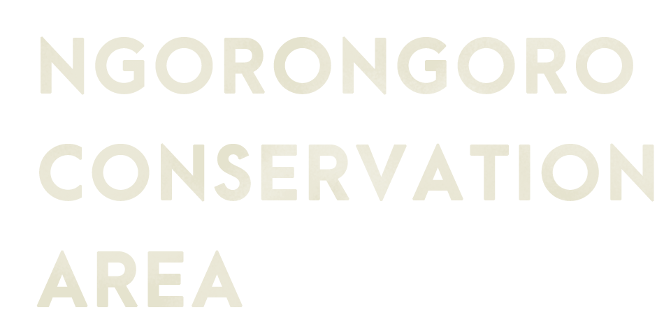 Ngorongoro Conservation Area