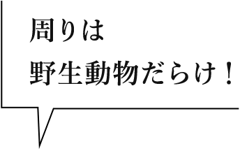 周りは野生動物だらけ！