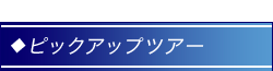 ピックアップツアー