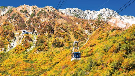 紅葉（9月中旬～10月中旬）