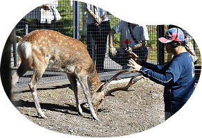 もぐもぐタイム・なるほどガイド　イメージ