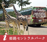 姫路セントラルパーク