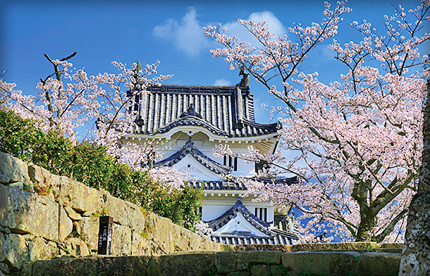 四国エリア】日本の名城旅行・ツアー特集｜阪急交通社