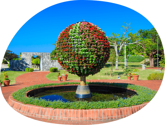 熱帯・亜熱帯都市緑化植物園の写真