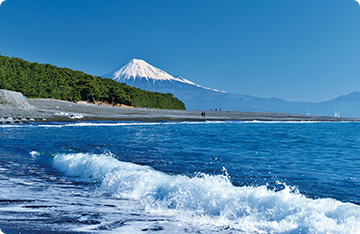 三保の松原の写真