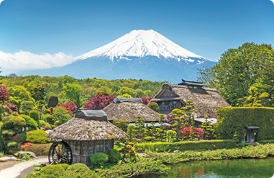 忍野八海の写真