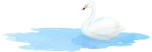 湖と白鳥のイラスト