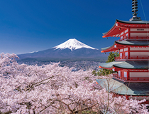 新倉山浅間公園の写真