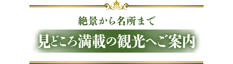 見どころ満載の観光へご案内