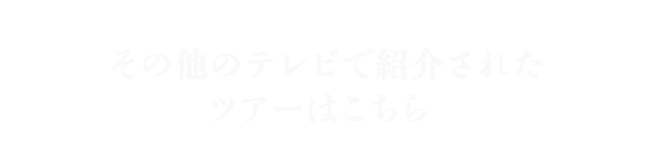 その他のテレビで紹介されたツアーはこちら