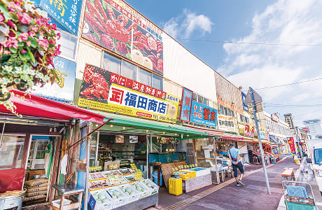 函館の朝市