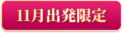 11月出発限定