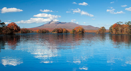 秋の北海道で、絶景めぐりに函館朝市散策も!