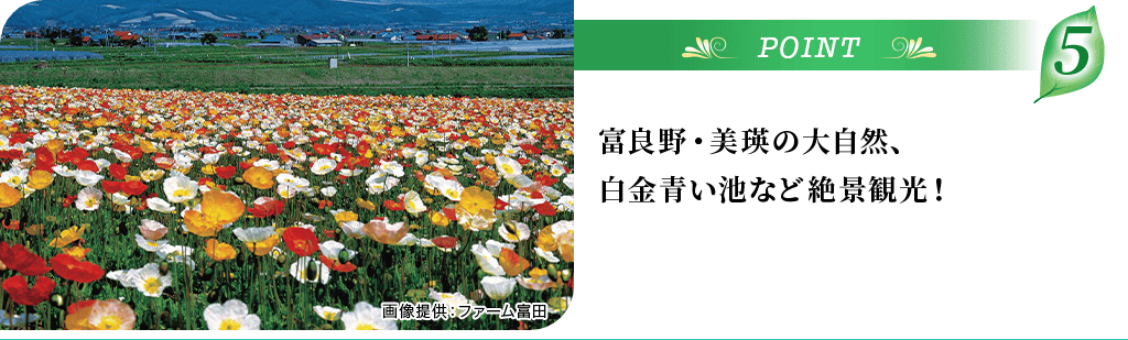 POINT5 富良野・美瑛の大自然、白金青い池など絶景観光！