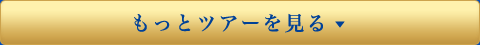 もっとツアーを見る