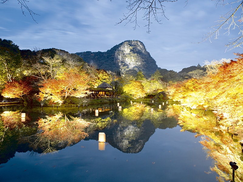 御船山楽園　ライトアップ