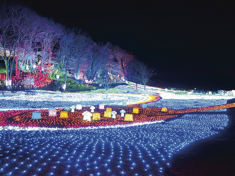 東京ドイツ村イルミネーション
