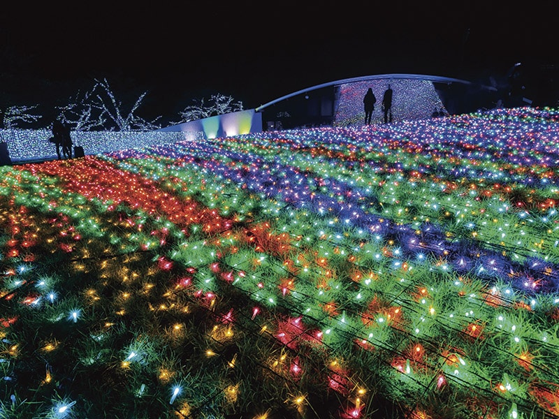 よみうりランド ジュエルミネーション