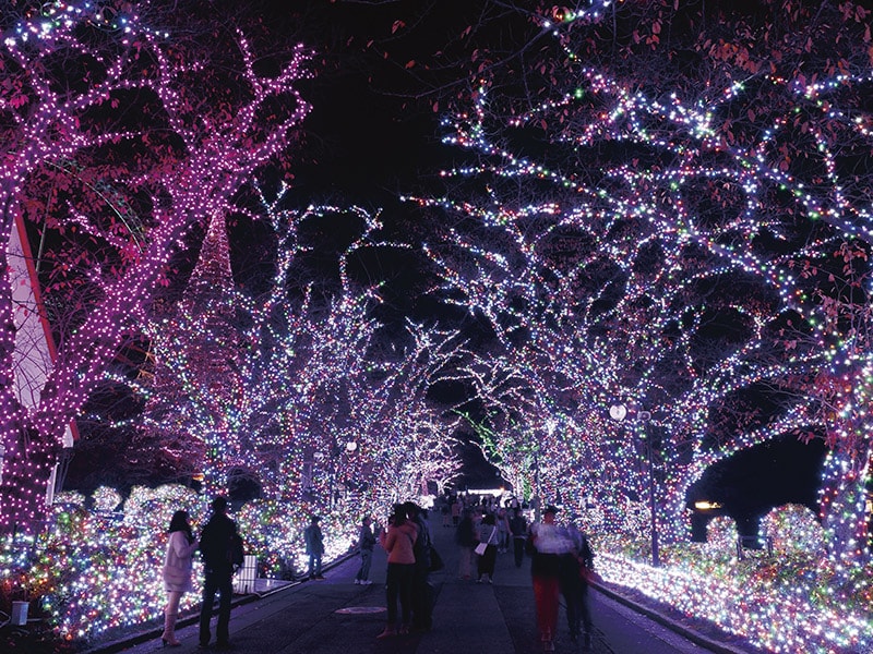 よみうりランド ジュエルミネーション