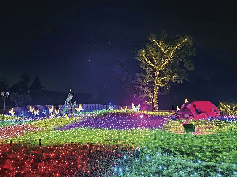 ハーベストの丘 イルミネーション