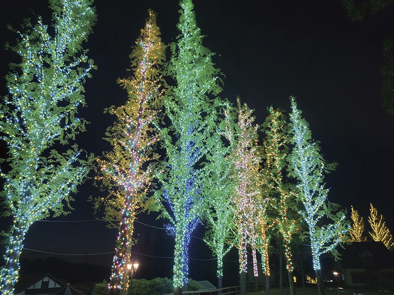 ハーベストの丘 イルミネーション