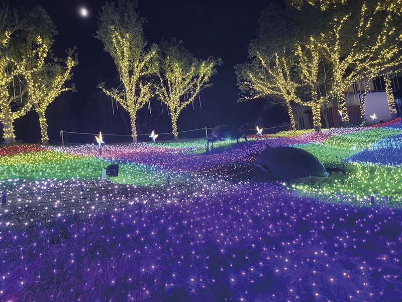 ハーベストの丘 イルミネーション