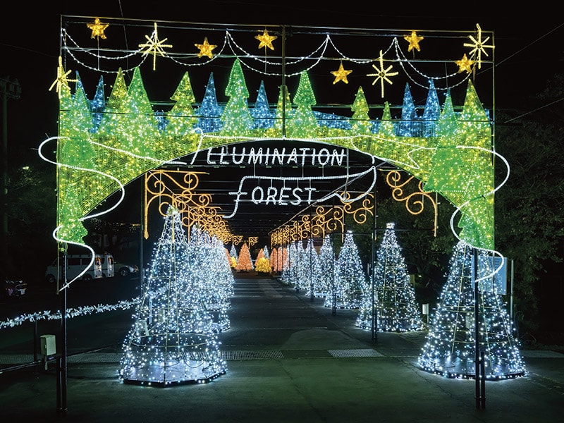 時之栖イルミネーション