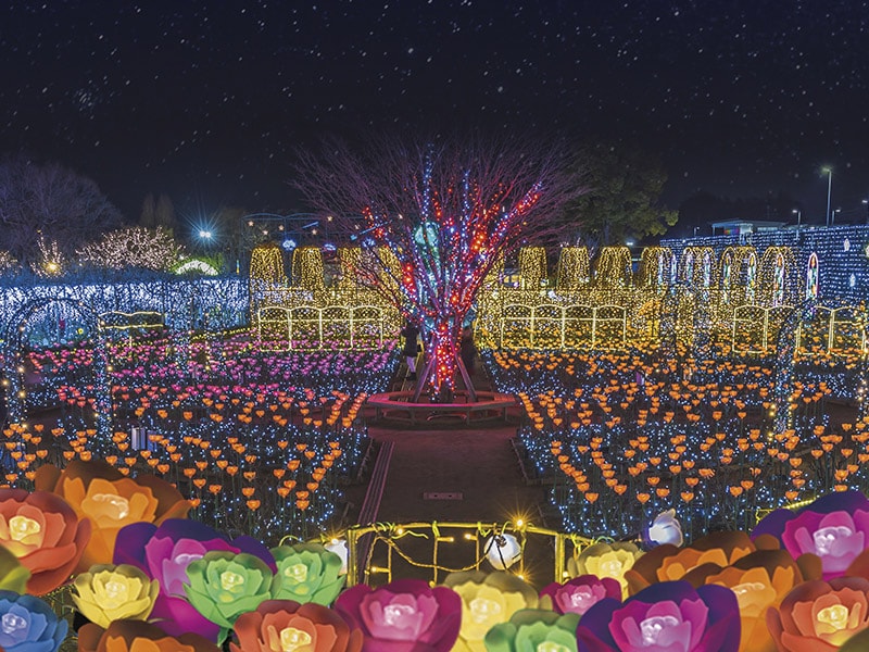 あしかがフラワーパーク