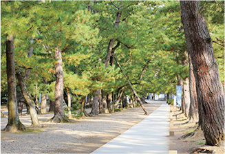 松の馬場