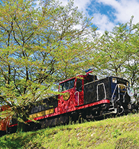 嵯峨野 トロッコ列車