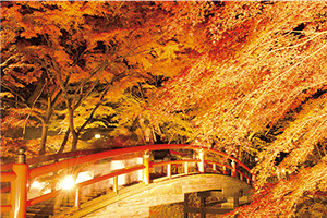 水上 猿ヶ京温泉 紅葉スポット ツアー情報 阪急交通社