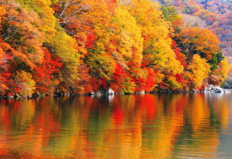 日光の紅葉（栃木県）オススメのスポット・名所8選！見頃の時期も紹介  