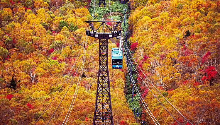 札幌 大雪山 紅葉スポット ツアー情報 阪急交通社