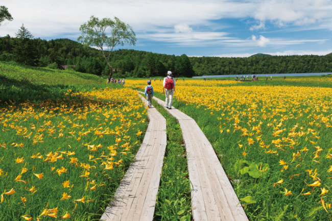 尾瀬ヶ原・尾瀬沼