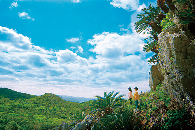 やんばる国立公園