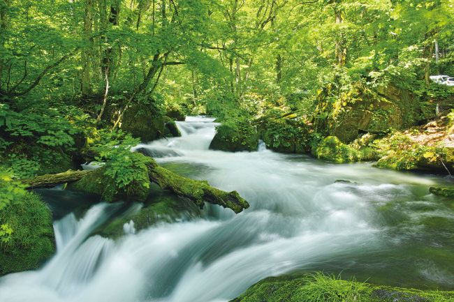 奥入瀬渓流