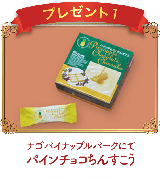 プレゼント1 パインチョコちんすこう