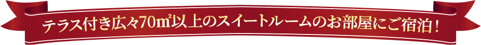 テラス付き広々72㎡のスイートルームのお部屋にご宿泊!