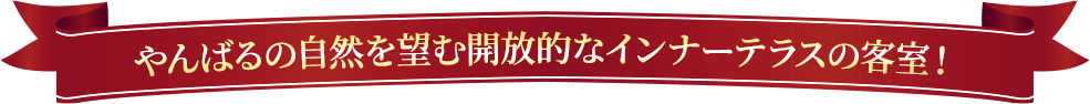 やんばるの自然を望む開放的なインナーテラスの客室!