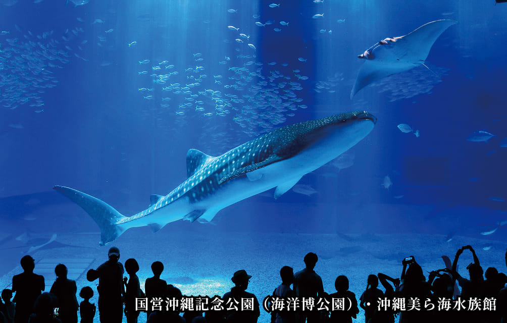 海洋博公園