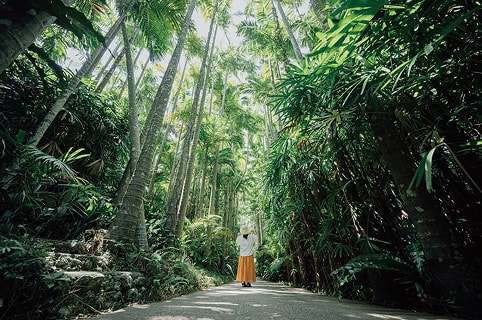 植物園