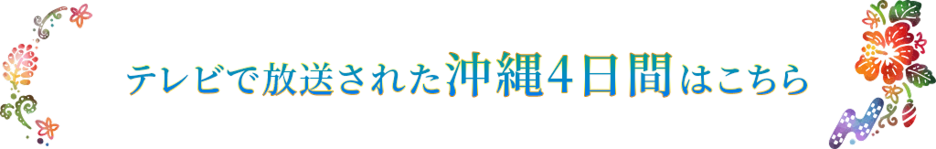 テレビで放送された沖縄4日間はこちら