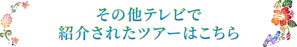 その他のテレビで紹介されたツアーはこちら