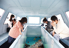 沖縄の美しい海をのぞくグラスボートにご乗船