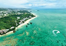 沖縄の美しい海をのぞくグラスボートにご乗船