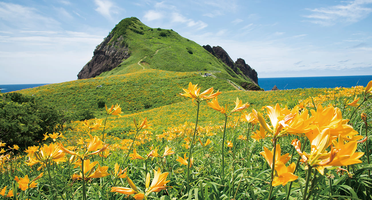 歴史も文化も温泉も自然もグルメもここにある！大満足の島旅になること間違いなし！