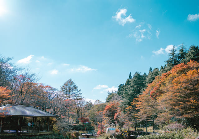 六甲高山植物園