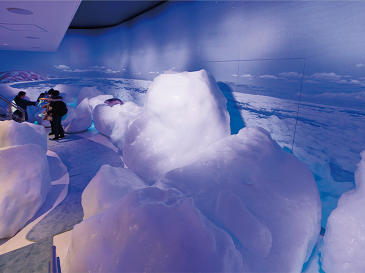 北海道流氷ツアー 2027｜網走・紋別・知床の流氷観光・旅行特集｜阪急