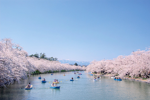 ボートからの眺め